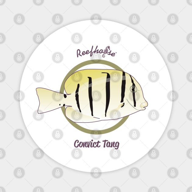 Convict Tang Magnet by Reefhorse